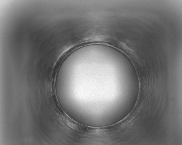 X0000067491166200604101247