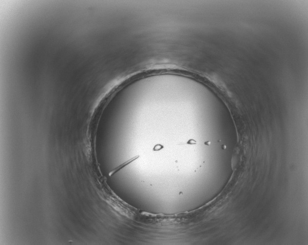 X0000067491167200604101247