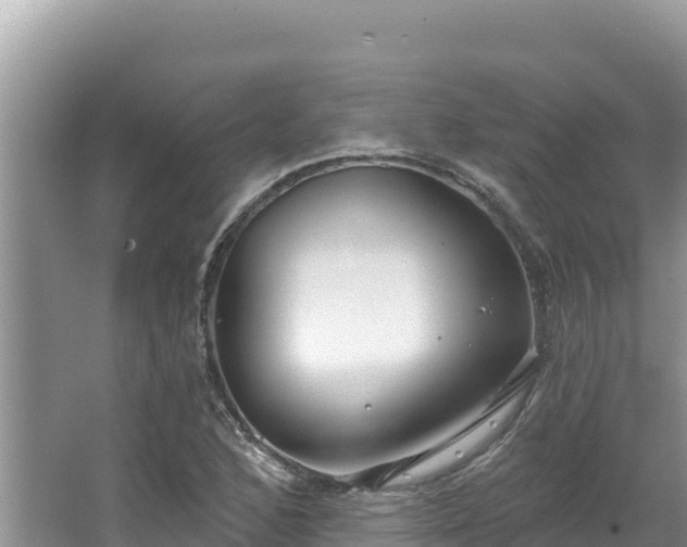 X0000067491168200604101247