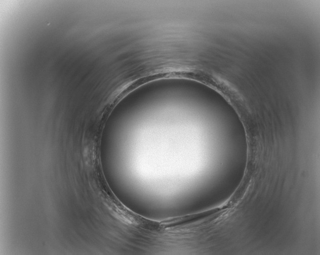 X0000067491169200604101247