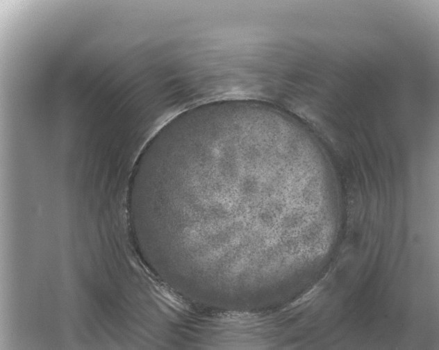 X0000067491170200604101247