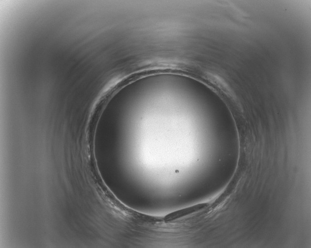 X0000067491172200604101247