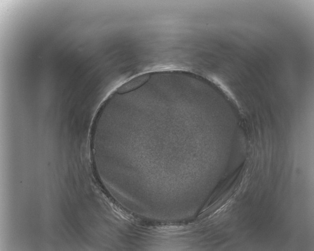 X0000067491173200604101247