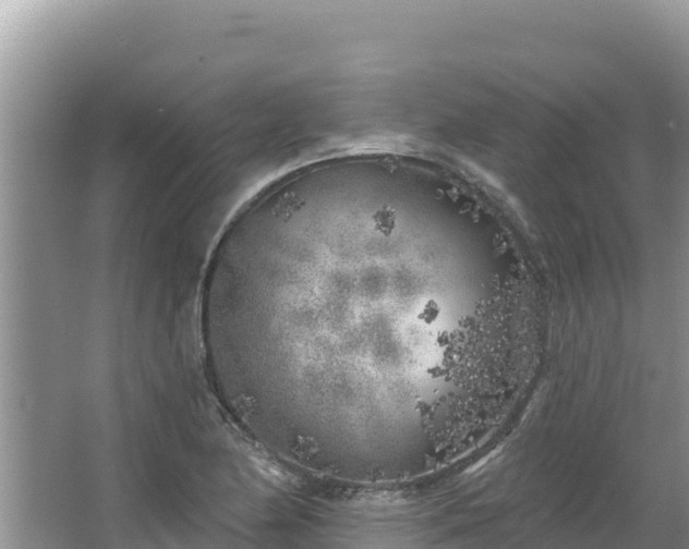 X0000067491174200604101247