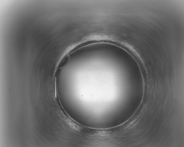 X0000067491175200604101247