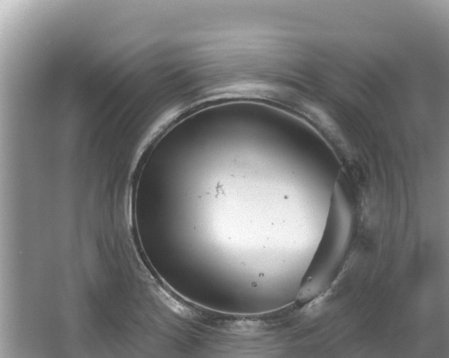 X0000067491180200604101247