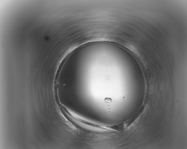 X0000067491181200604101247