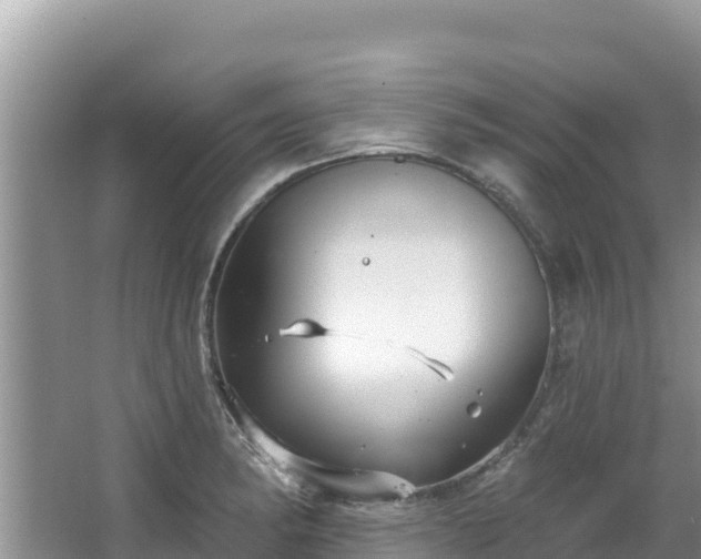 X0000067491182200604101247