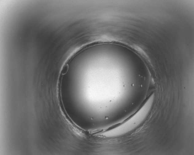 X0000067491183200604101247