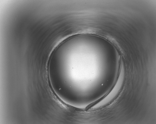 X0000067491184200604101247