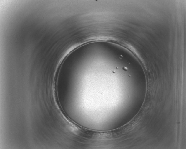 X0000067491187200604101247