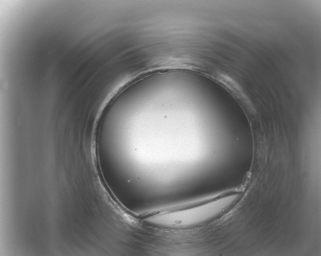 X0000067491188200604101247