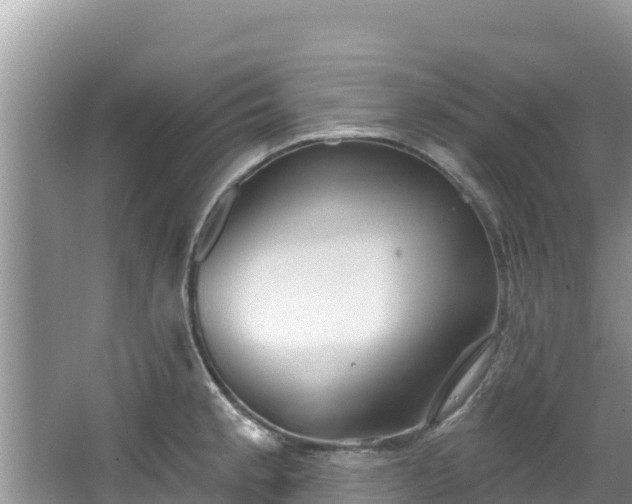 X0000067491189200604101247