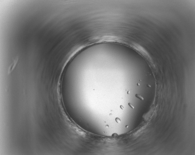 X0000067491190200604101247