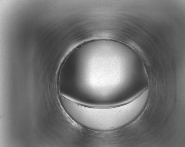 X0000067491192200604101247