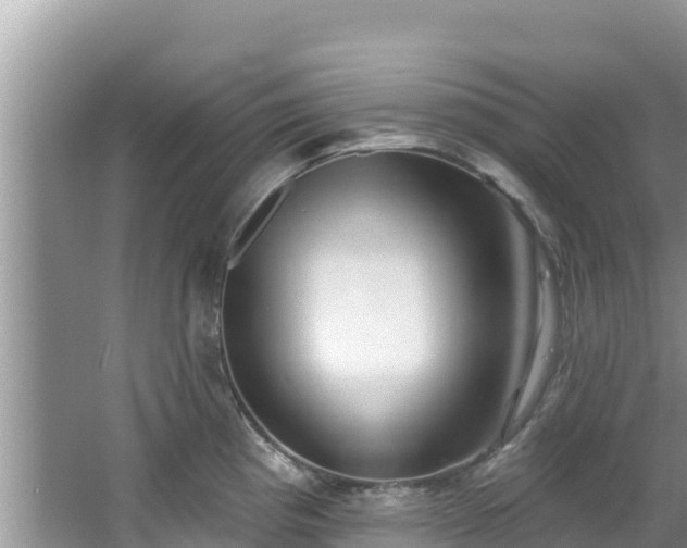 X0000067491193200604101247