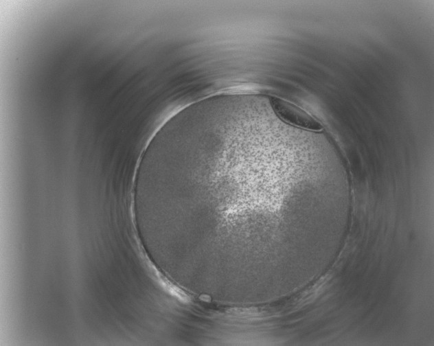 X0000067491194200604101247