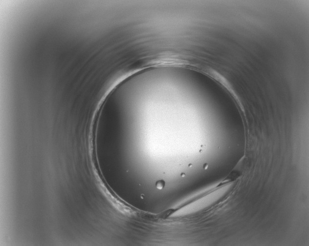 X0000067491195200604101247