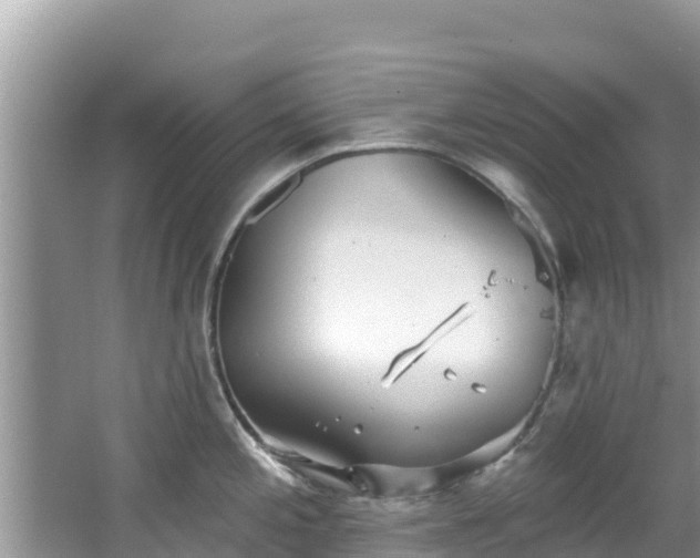 X0000067491197200604101247