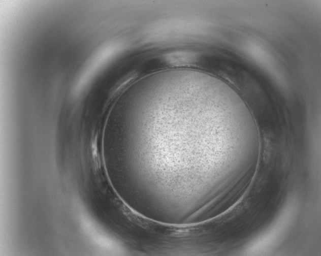 X0000067491198200604101247