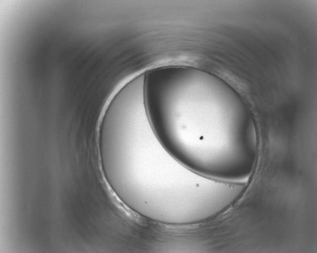 X0000067491200200604101247