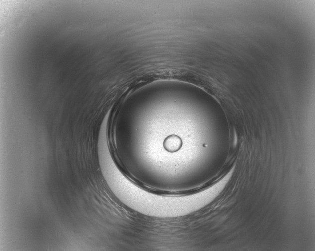 X0000067491202200604101246