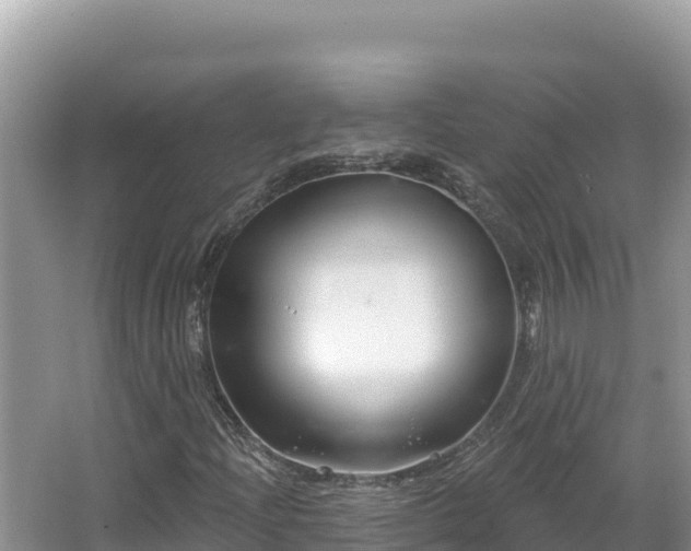 X0000067491204200604101246