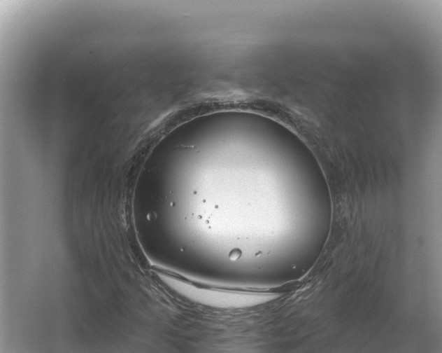 X0000067491205200604101246