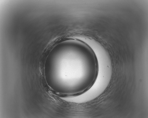 X0000067491206200604101246