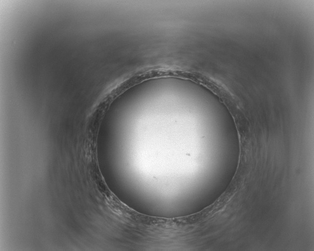 X0000067491207200604101246