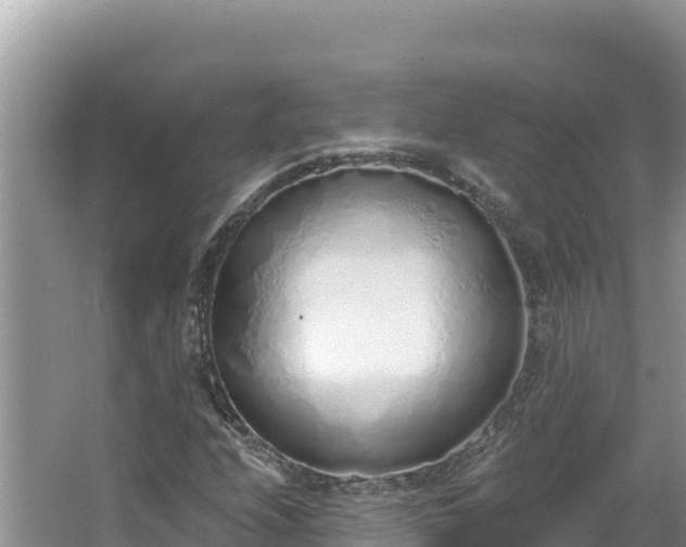 X0000067491208200604101246