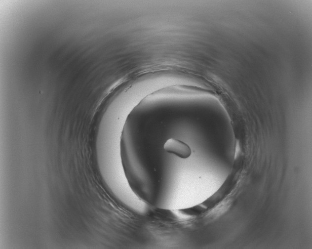 X0000067491210200604101246