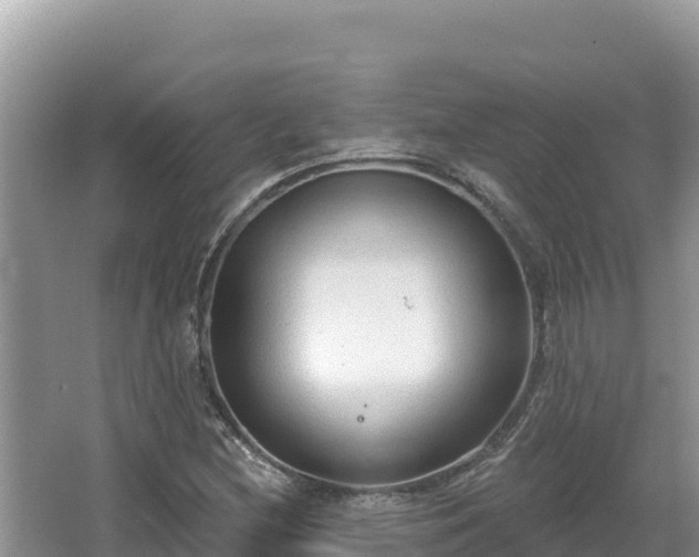 X0000067491212200604101246