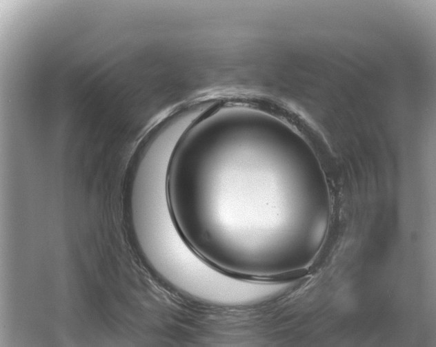 X0000067491213200604101246