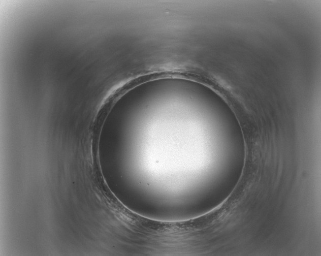 X0000067491214200604101246