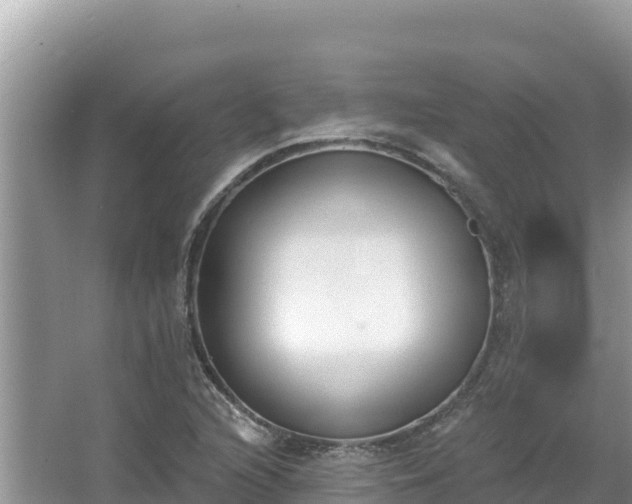 X0000067491216200604101246