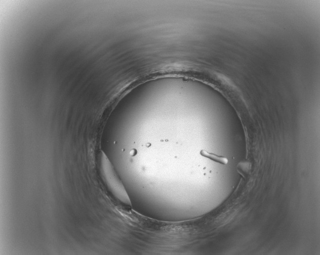 X0000067491217200604101246