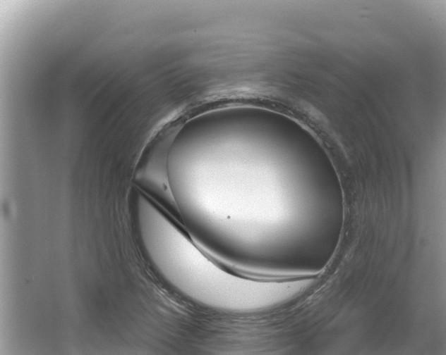 X0000067491218200604101246