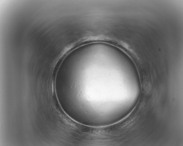 X0000067491221200604101246