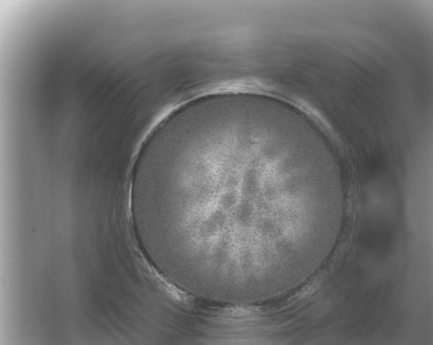 X0000067491224200604101246