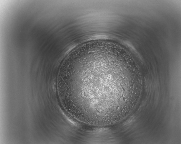 X0000067491225200604101247