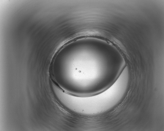 X0000067491226200604101247