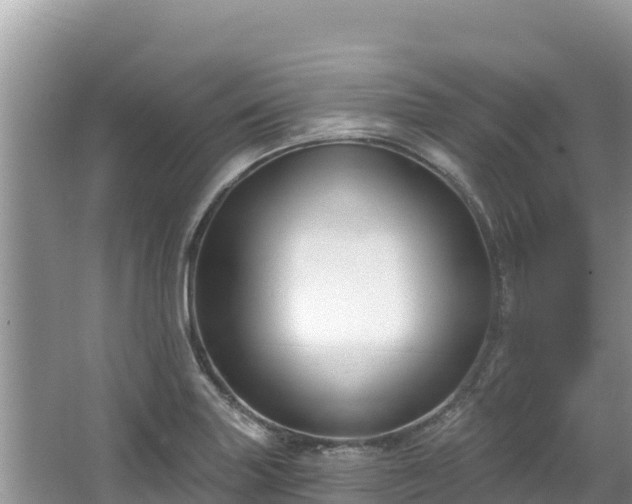 X0000067491227200604101247