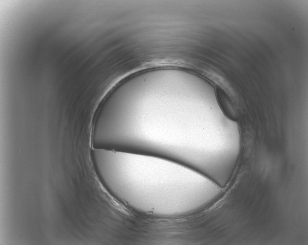 X0000067491228200604101247