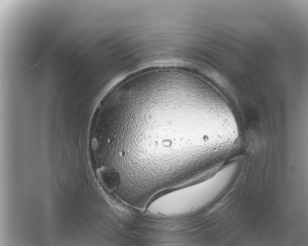 X0000067491229200604101247