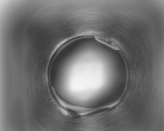 X0000067491230200604101247