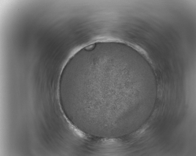 X0000067491231200604101247