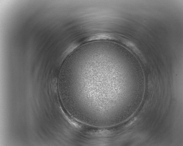 X0000067491233200604101247