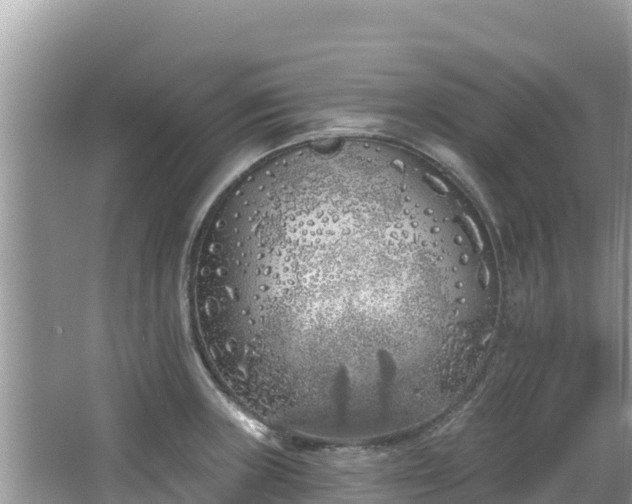 X0000067491235200604101247