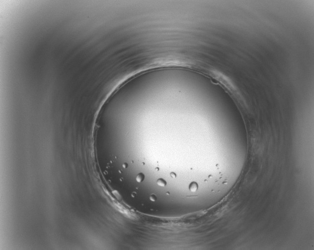 X0000067491236200604101247